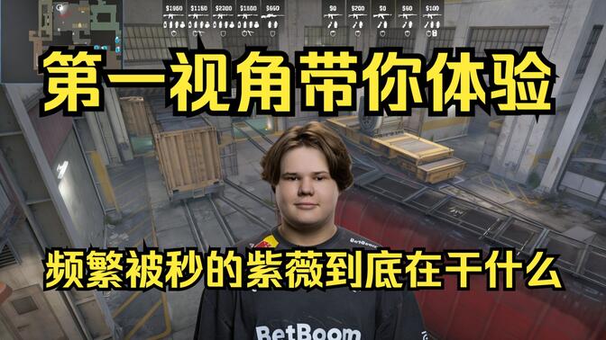 同样